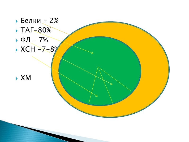 Белки – 2% ТАГ-80% ФЛ – 7% ХСН -7-8%   ХМ
